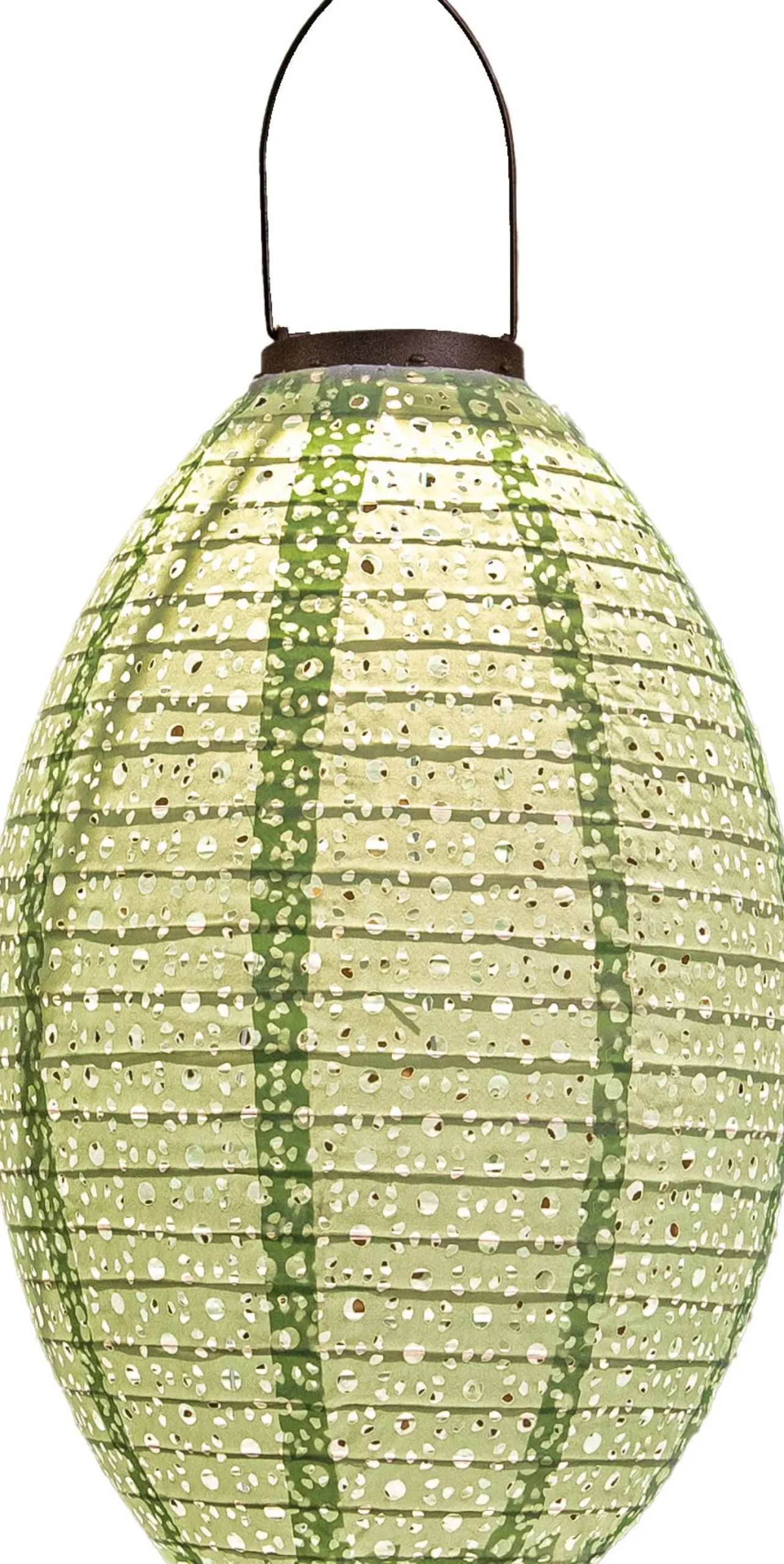 Anna's Collection lampion groen D 22 H 32 cm