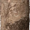 Anna's Collection LED stompkaars berk bruin met timer D 9 H 13,4 cm