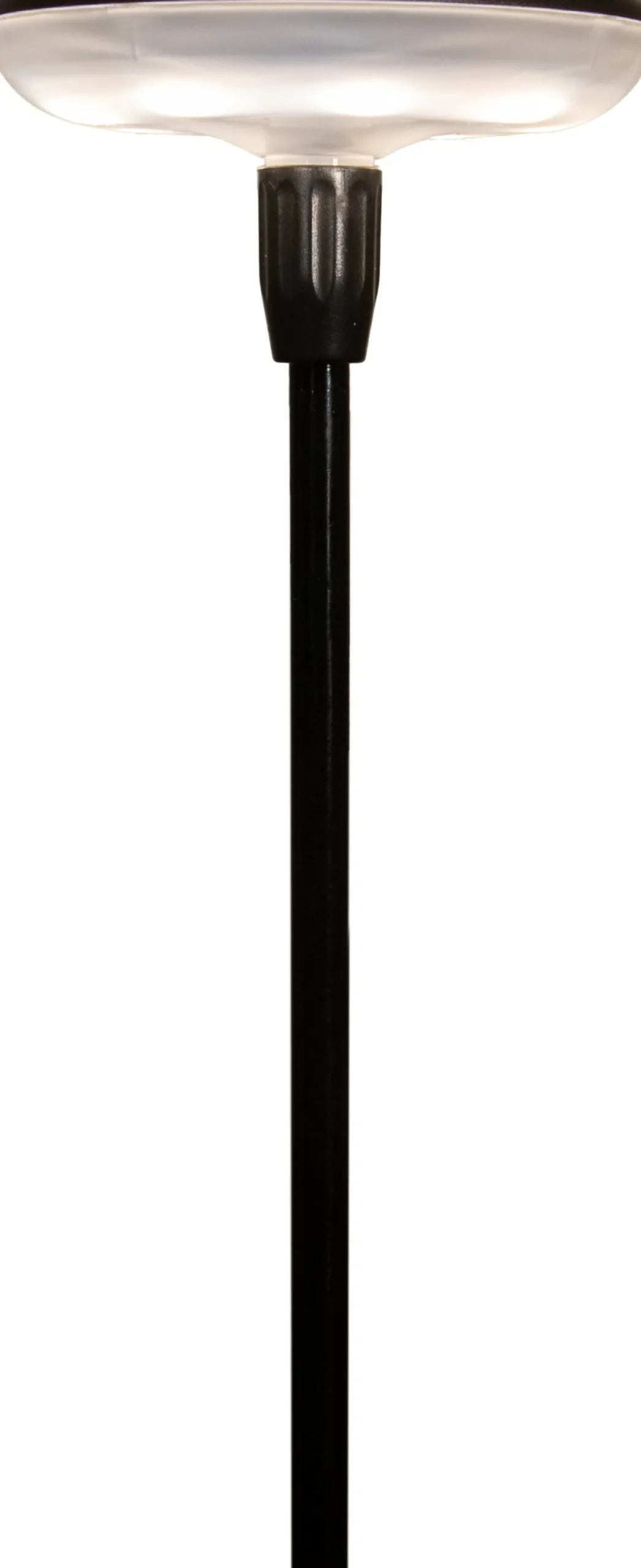 Anna's Collection tuinsteker Sway D 9 H 76 cm