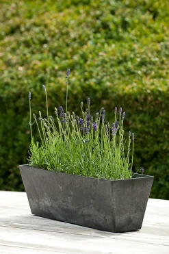 Artstone balkonbak Ella 55 x 17 cm zwart