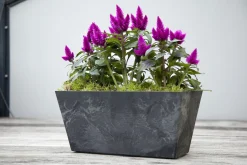 Artstone balkonbak Ella 37 x 17 cm zwart