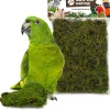 Back Zoo Nature bodembedekking Discovery Forest Moss 70 g