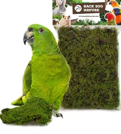 Back Zoo Nature bodembedekking Discovery Forest Moss 70 g