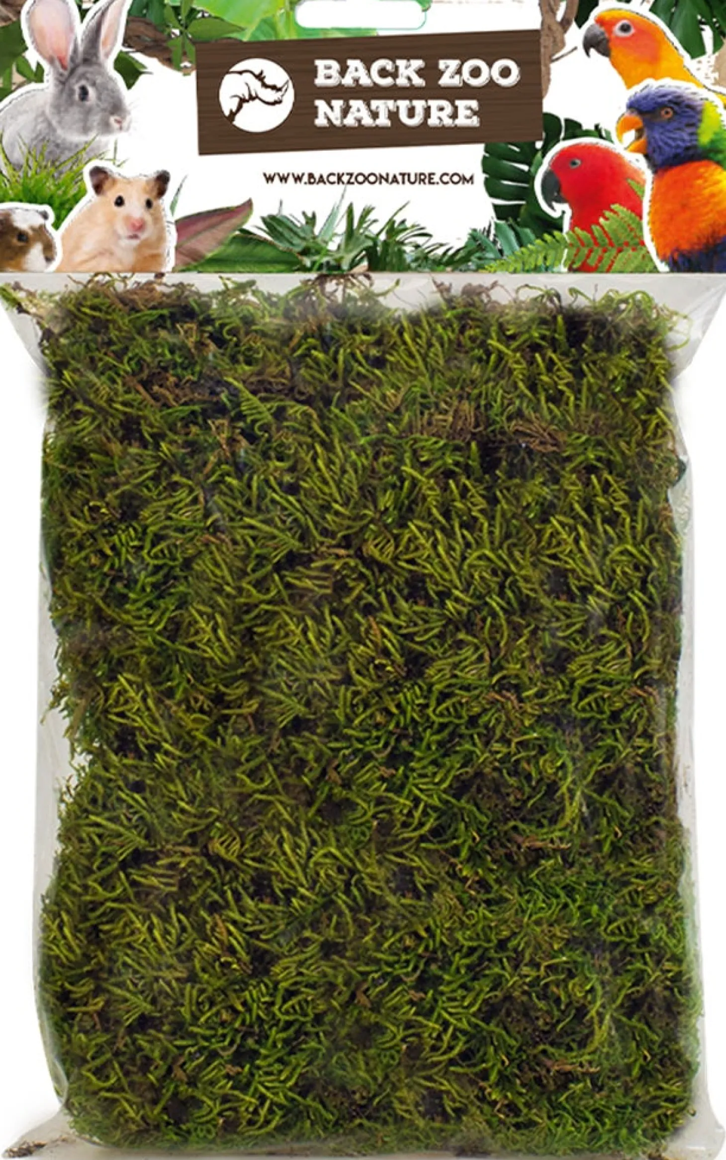 Back Zoo Nature bodembedekking Discovery Forest Moss 70 g