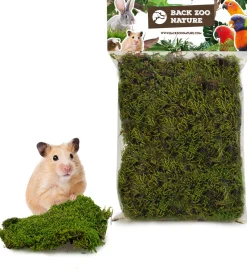 Back Zoo Nature bodembedekking Discovery Forest Moss 70 g