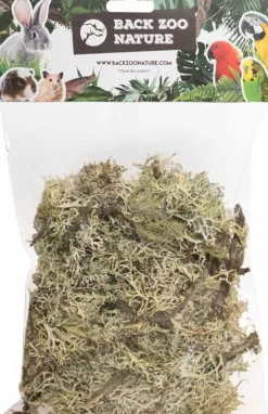 Back Zoo Nature bodembedekking Discovery Branch Moss 50 g