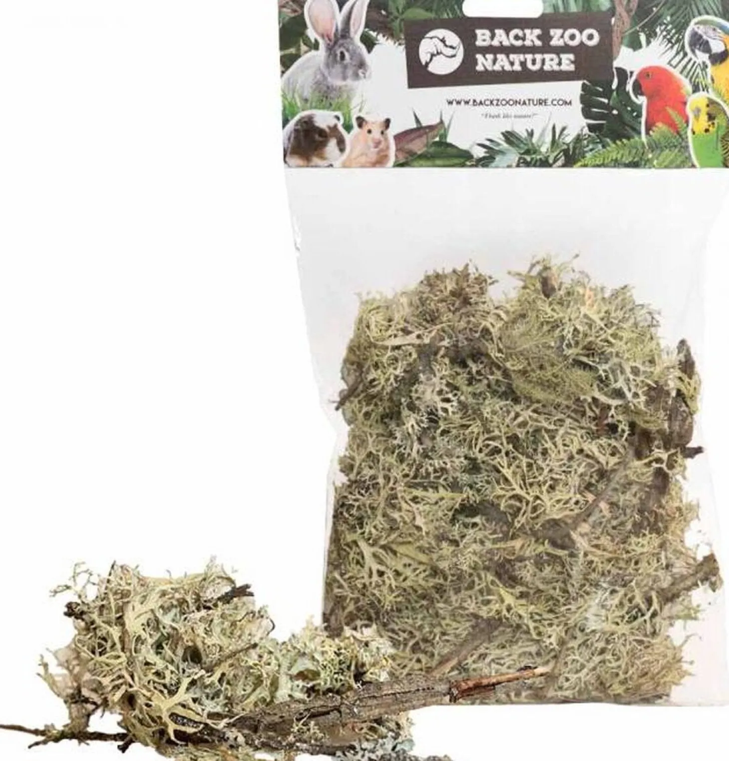 Back Zoo Nature bodembedekking Discovery Branch Moss 50 g