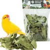 Back Zoo Nature bodembedekking Discovery Leaves 80 g