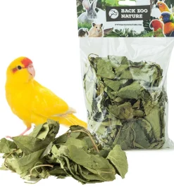 Back Zoo Nature bodembedekking Discovery Leaves 80 g