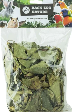 Back Zoo Nature bodembedekking Discovery Leaves 80 g