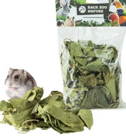 Back Zoo Nature bodembedekking Discovery Leaves 80 g
