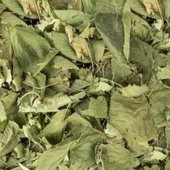 Back Zoo Nature bodembedekking Discovery Leaves 80 g