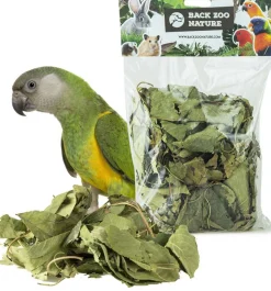 Back Zoo Nature bodembedekking Discovery Leaves 80 g