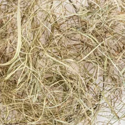 Back Zoo Nature bodembedekking Discovery Palm Grass 40 g