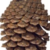 Back Zoo Nature dennenappel 10 x 9 x 26,5 cm