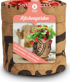 Baza Aardbei tuinkeukentje extra zoete Aardbei (Fragaria)
