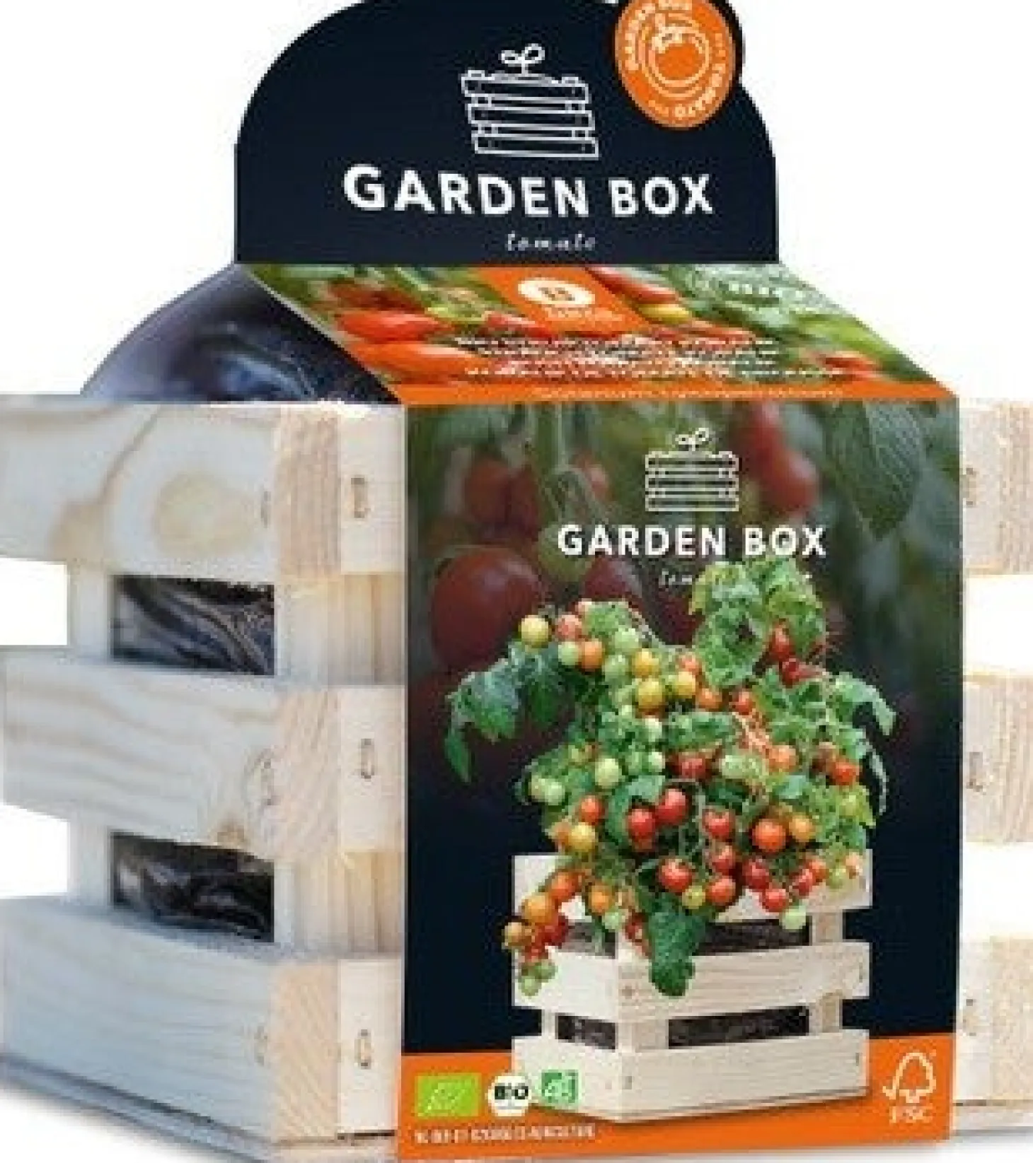 Baza Gardenbox groentezaad Struiktomaat Koralik 12 x 11 x 10 cm