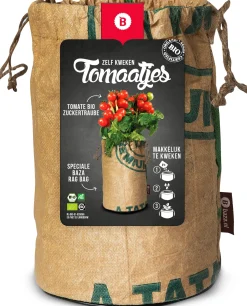 Baza Tomato Rags biologische Tomaat (Solanum lycopersicum 'Zuchertraube')