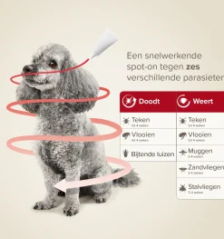 Beaphar anti tekenmiddel ProtecTix hond 1,5-4 kg 4 stuks