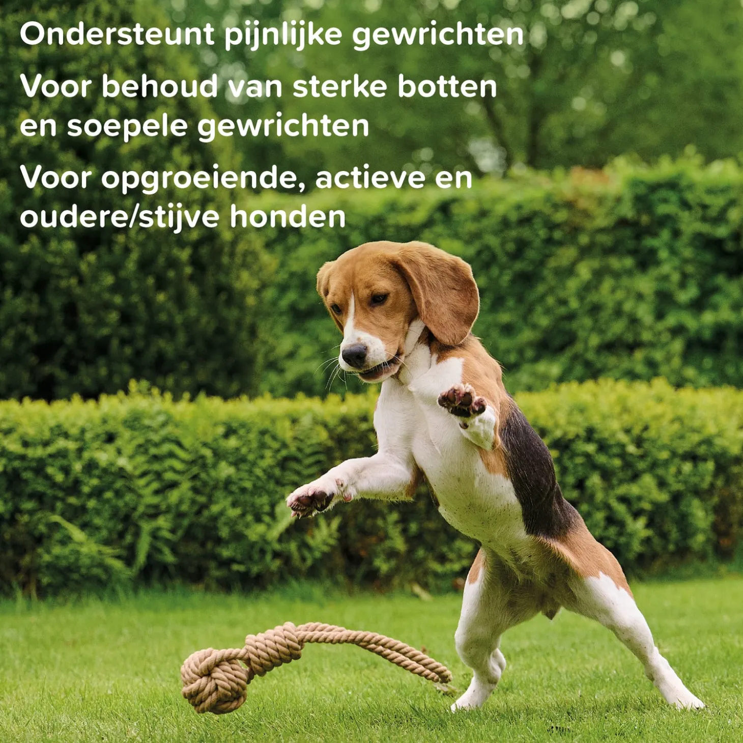 Beaphar hondensnoepjes Flexifit chews chews 30 stuks