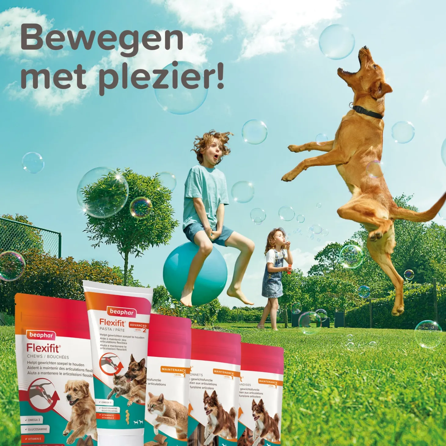 Beaphar hondensnoepjes Flexifit chews chews 30 stuks