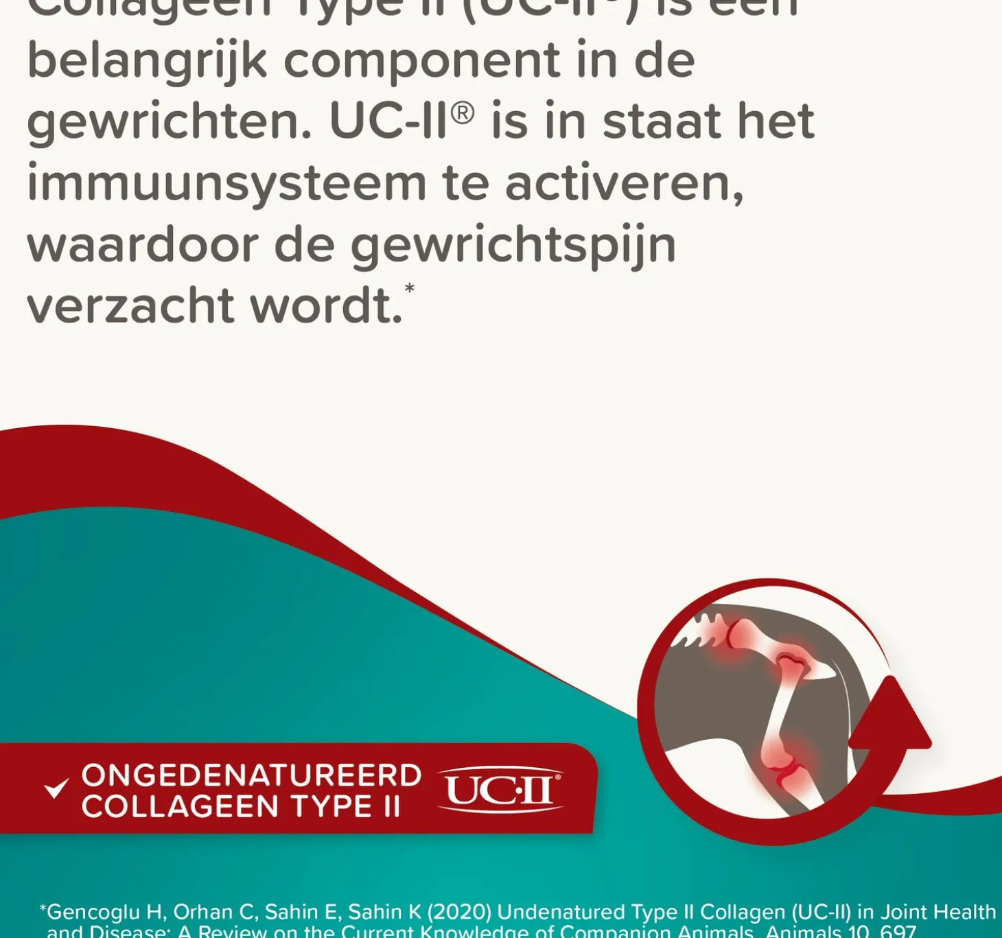 Beaphar hondensnoepjes Flexifit chews chews 30 stuks