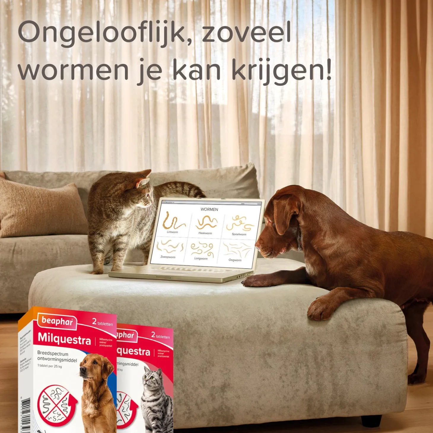 Beaphar Milquestra ontwormingsmiddel tabletten kat klein/kitten 2 stuks