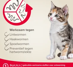 Beaphar Milquestra ontwormingsmiddel tabletten kat klein/kitten 2 stuks