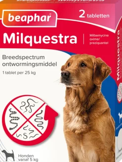 Beaphar Milquestra ontwormingsmiddel tabletten hond 5-50 kg 2 stuks
