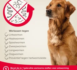 Beaphar Milquestra ontwormingsmiddel tabletten hond 5-50 kg 2 stuks