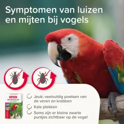 Beaphar ontwormingsmiddel Anti-Parasiet 10 vogel / knaagdier van 20-50 gram 2 stuks