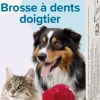 Beaphar vingertandenborstel 2 stuks