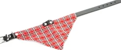 Beeztees halsband met rood doekje Ø32cm