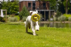 Beeztees hondenfrisbee Tof D 24 H 7 cm