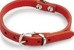 Beeztees hondenhalsband rood 32 x 1 cm