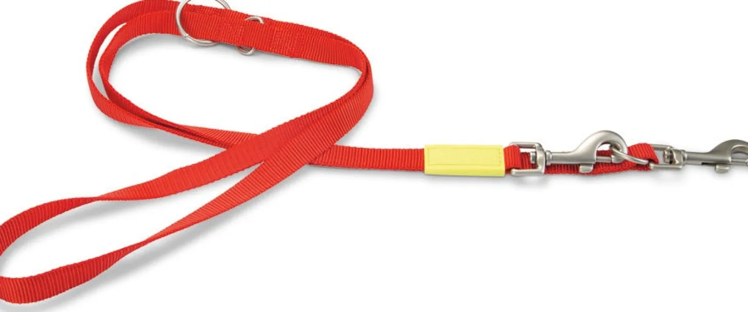 Beeztees hondenriem Uni rood 200 x 2 cm