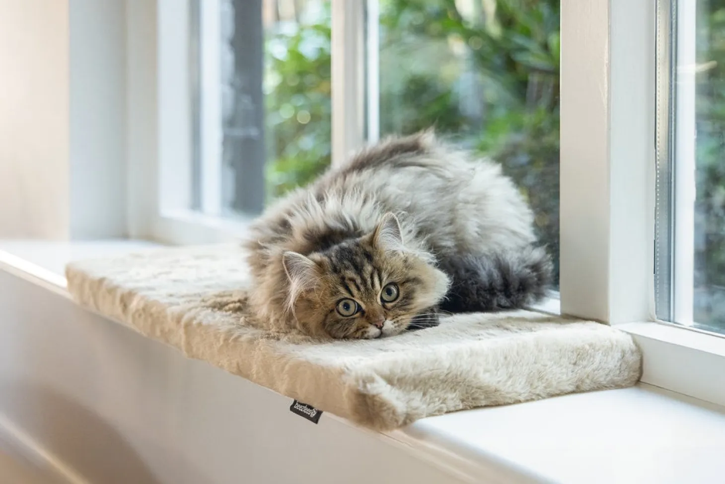 Beeztees kattenkussen Moza beige 65 x 27 x 3 cm