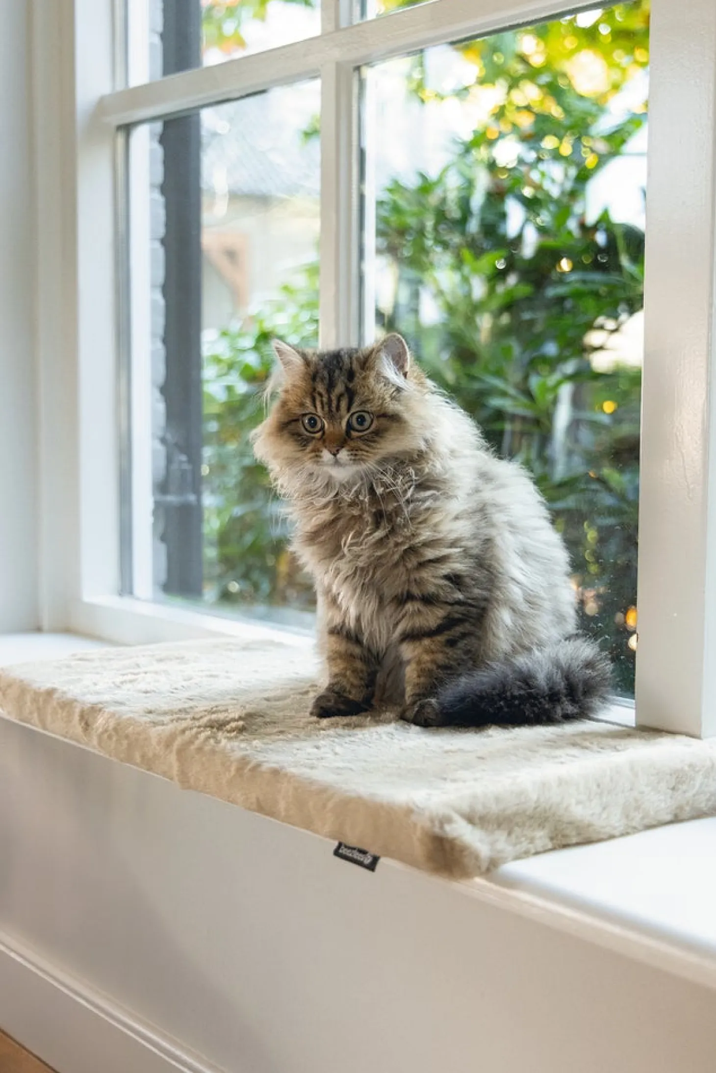 Beeztees kattenkussen Moza beige 65 x 27 x 3 cm