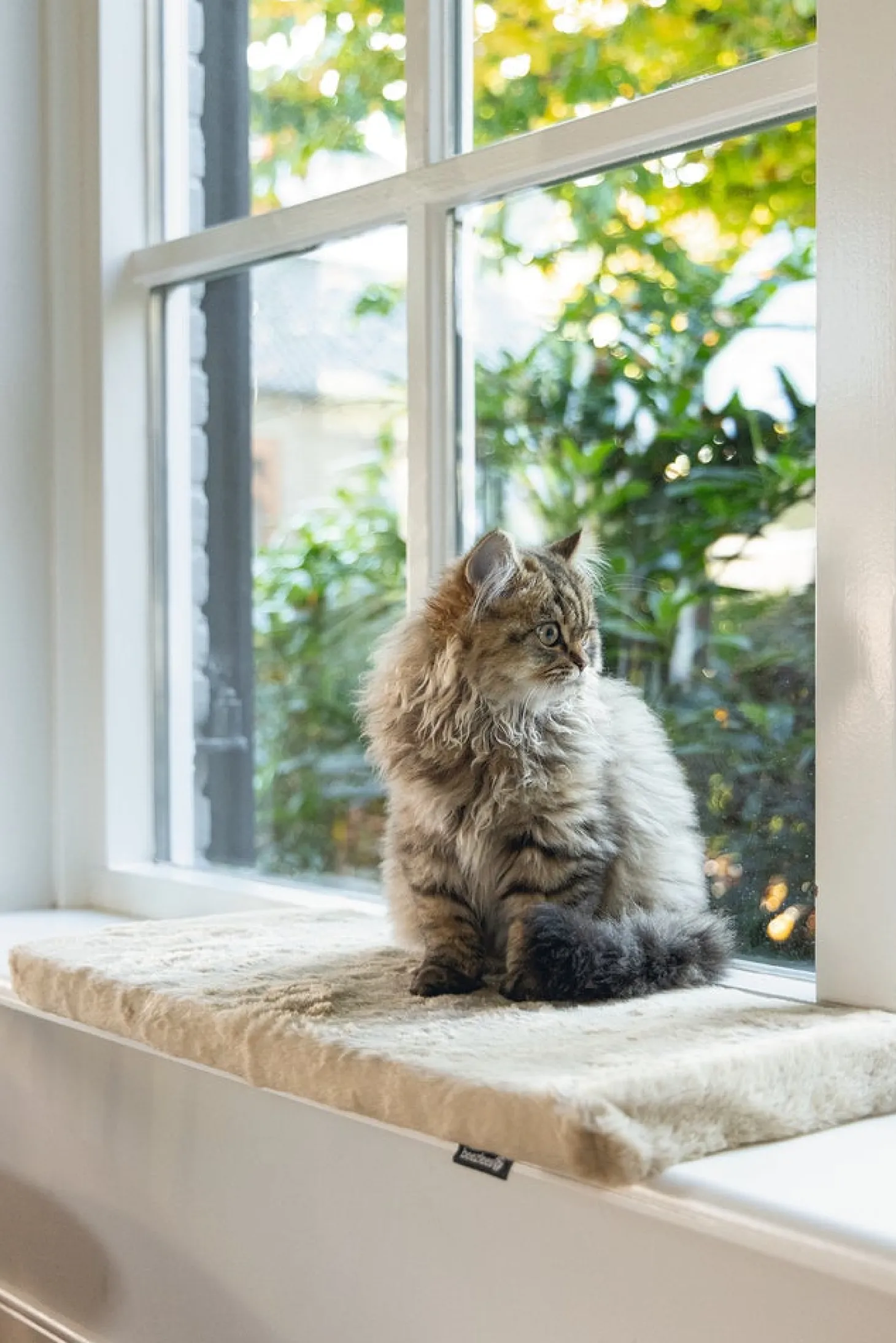 Beeztees kattenkussen Moza beige 65 x 27 x 3 cm