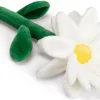Beeztees knuffel Bloem Daisy 30 x 16 x 4 cm