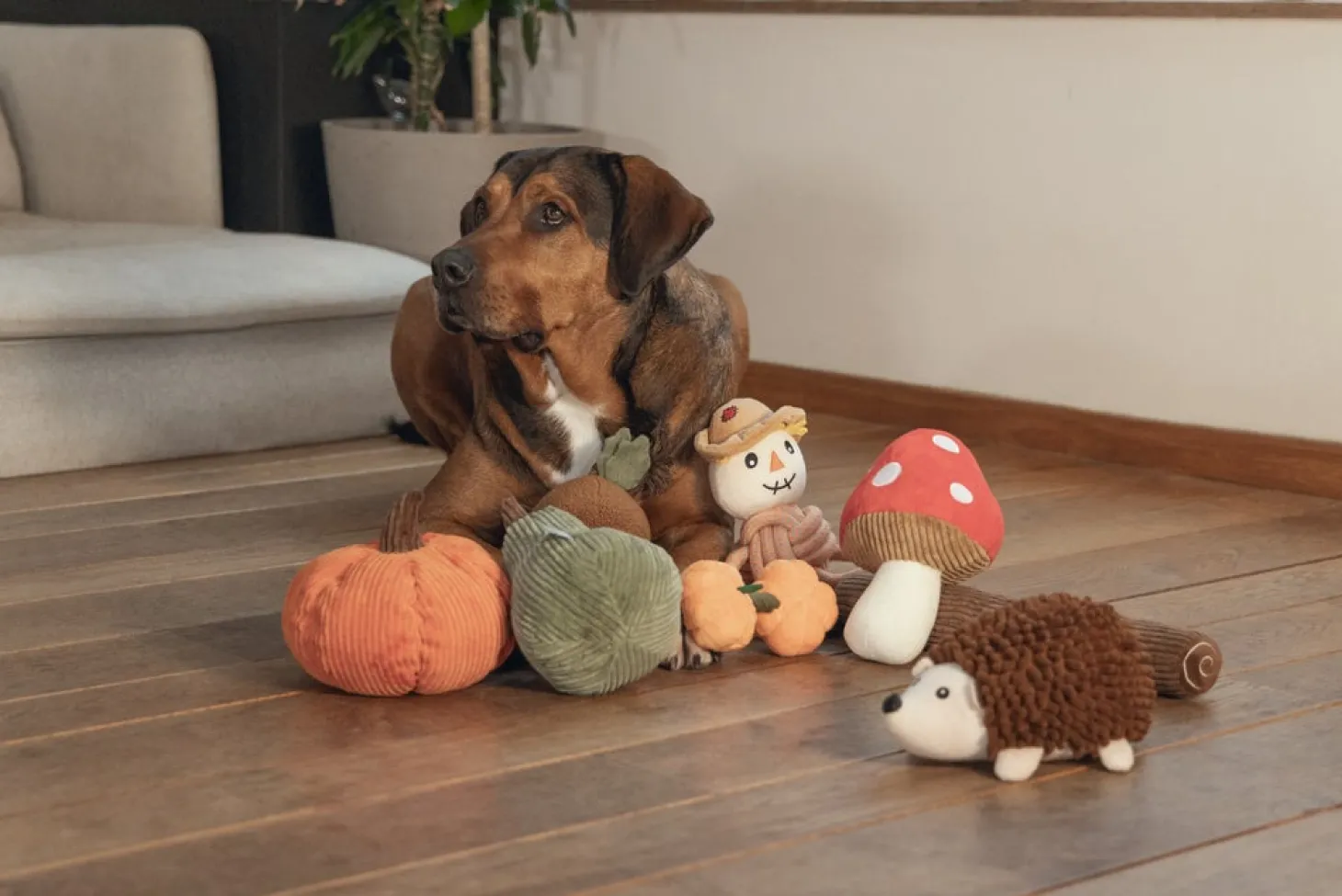 Beeztees knuffel pompoen Petar D 14 H 21 cm