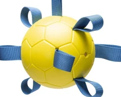 Beeztees speelbal Fetch D 13 H 13 cm
