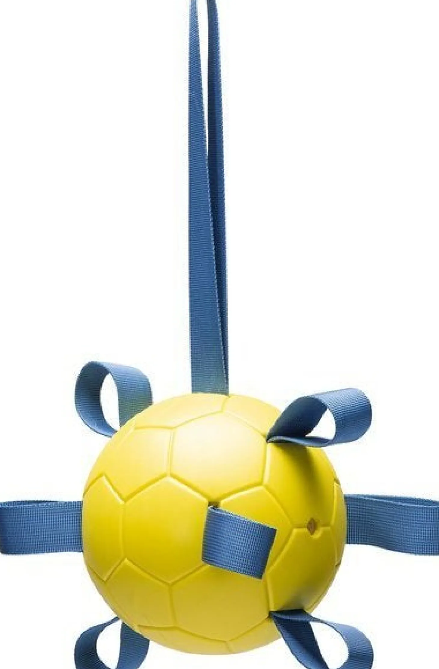Beeztees speelbal Fetch D 13 H 13 cm