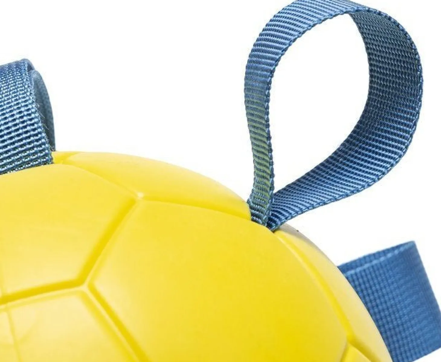 Beeztees speelbal Fetch D 13 H 13 cm