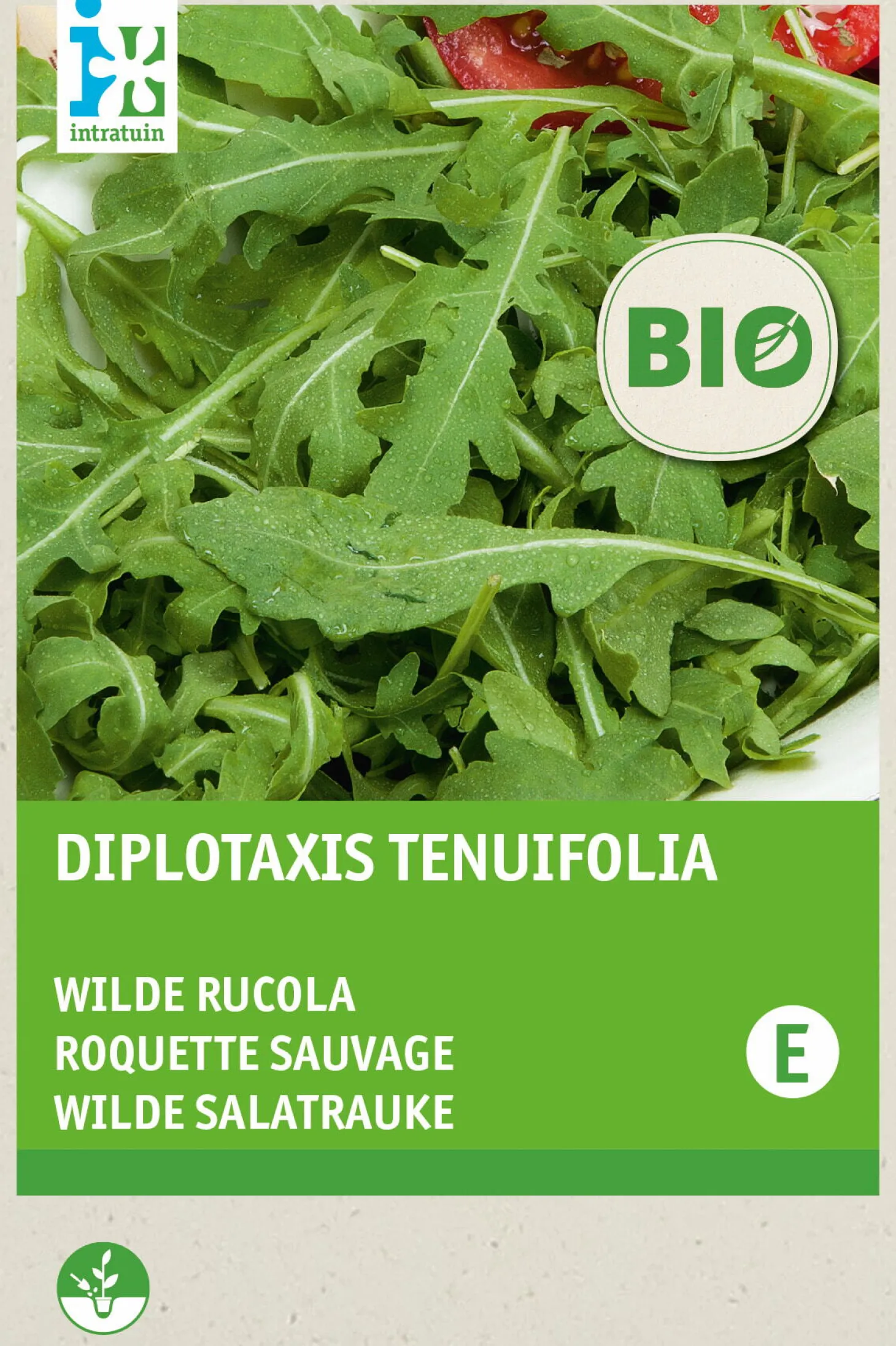 Biologische Intratuin groentezaad wilde rucola (Diplotaxis tenuifolia)
