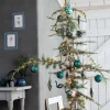 Blauwe Ceder (Cedrus libani 'Glauca') D 23 H 100 cm