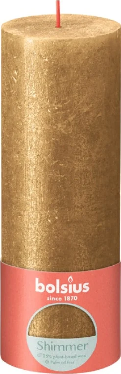 Bolsius stompkaars Rustiek Shine grijs 62 uur D 10 H 10 cm