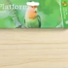 Boon rustplank naturel 20 x 10 x 0,5 cm