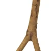 Boon zitstok met schroefdraad bruin 20 cm