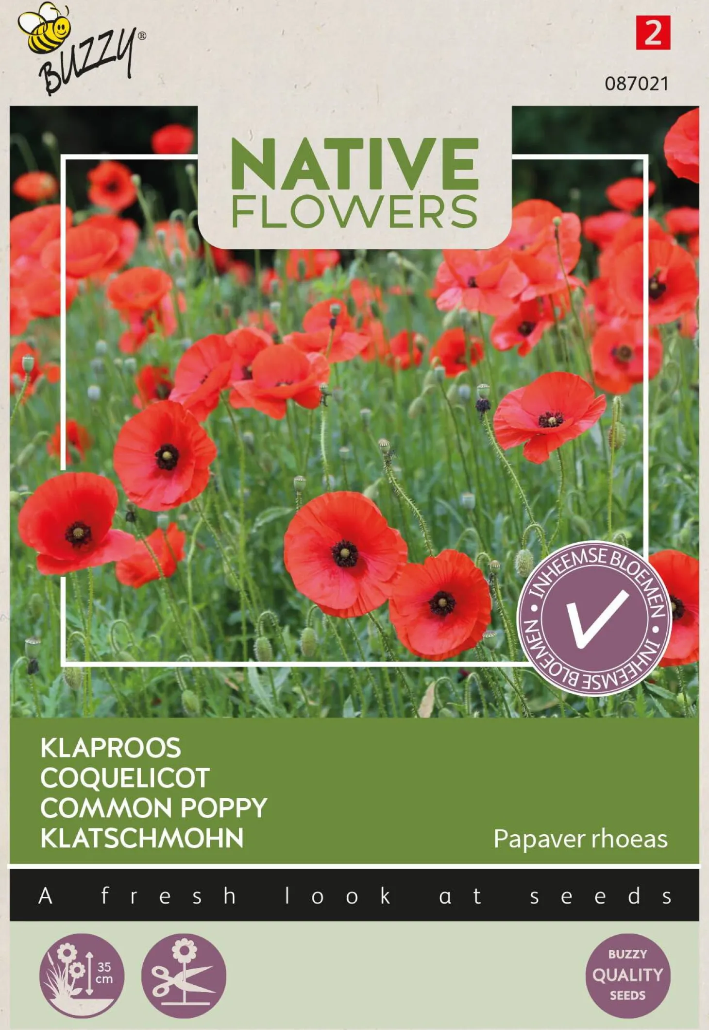 Buzzy bloemenzaad klaproos (Papaver rhoeas)